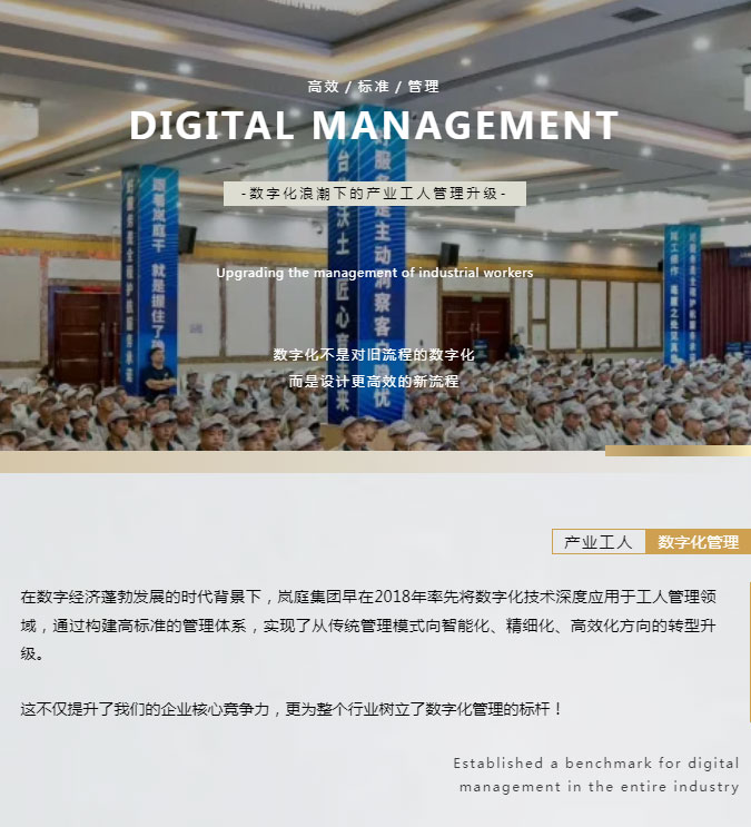 破局传统-_-数字赋能，标准领航——岚庭集团产业工人数字化管理革命，重塑行业新标杆！_03.jpg