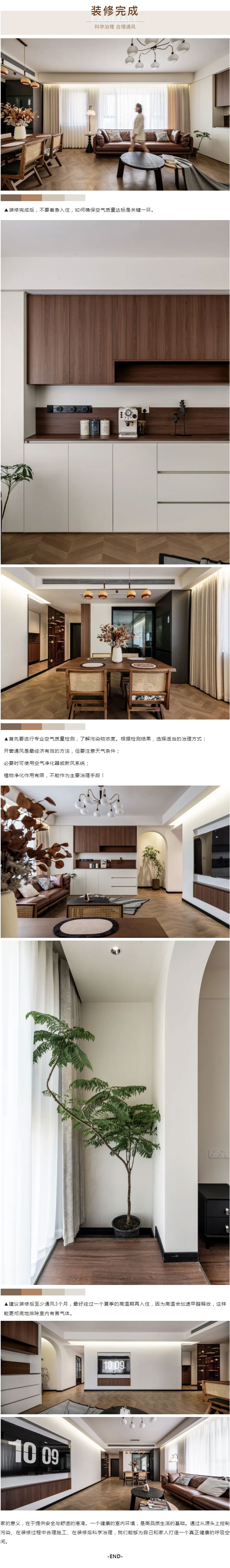 岚猫2_10.jpg